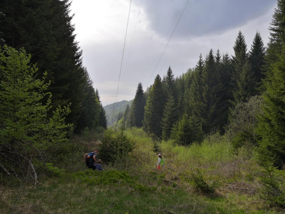 Sky Cabin Apartments Kopaonik Luaran gambar